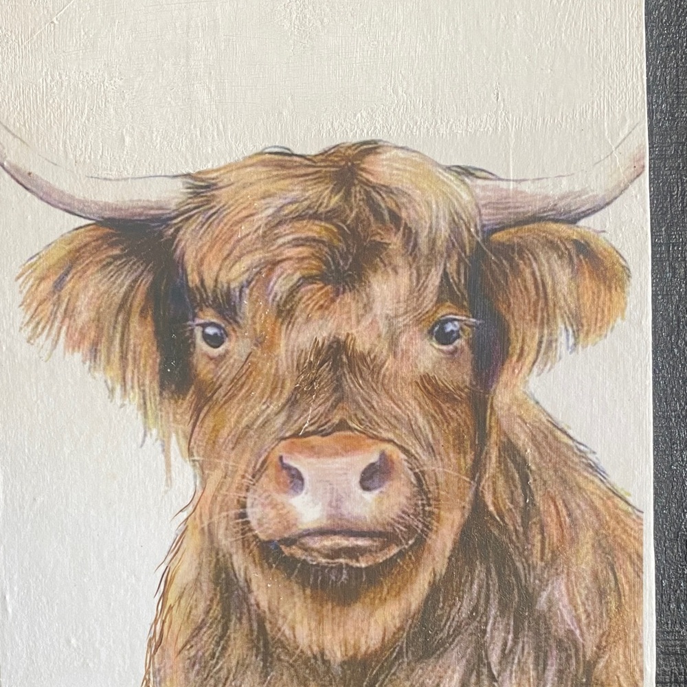 Rustic Highland Cow Wall Art brown white wooden plaque farmhouse decor